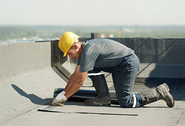 Best Insulation Repair Services  in Woodland Heights, PA