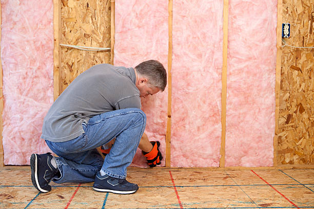 Best Best Insulation Companies  in Woodland Heights, PA