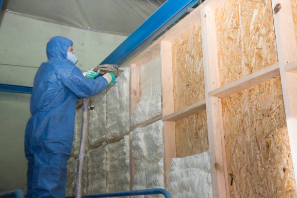 Best Fiberglass Insulation  in Woodland Heights, PA